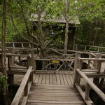 picture-011