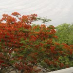 dsc01188-1