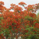 dsc01189