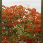 dsc01190-1