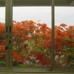 dsc01190