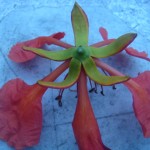 dsc00298