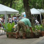 dsc00602
