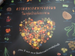                    โปสเตอร์แผ่นสวย