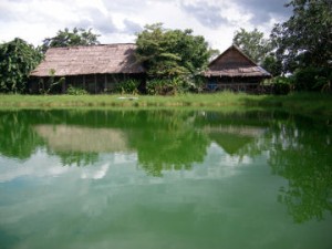 บรรยากาศร่มรื่นภายในสำนักฯ