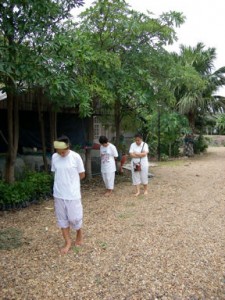 อีกหนึ่งบรรยากาศ ในการปฏิบติท่ามกลางธรรมชาติ