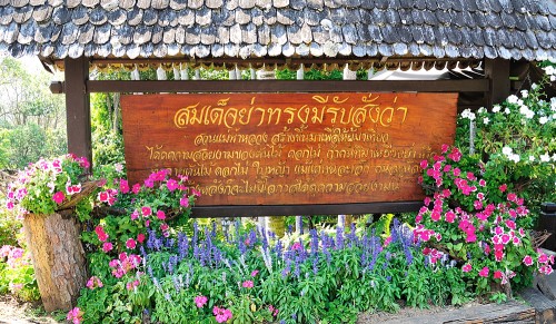 dt009