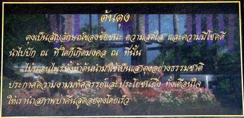 dt015