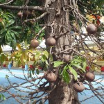dscf7223_resize