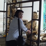 dscf7377_resize