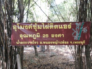 20131229_125933