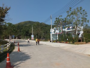 DSCF7503