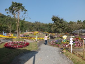 DSCF7507