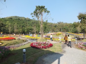 DSCF7508