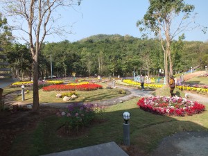 DSCF7509
