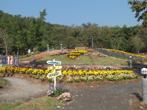 DSCF7512