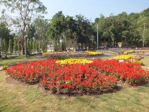 DSCF7516
