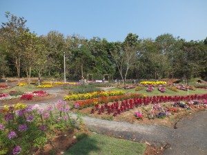 DSCF7549
