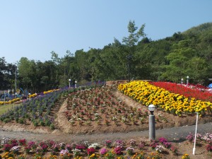 DSCF7561