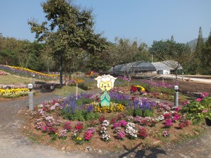 DSCF7566