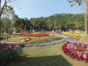 DSCF7570