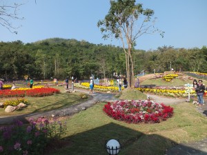 DSCF7571