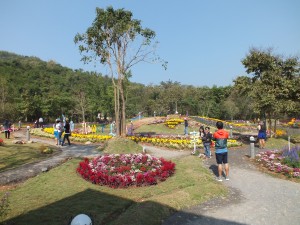 DSCF7572