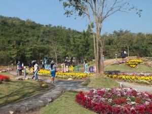 DSCF7574