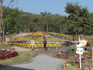 DSCF7575
