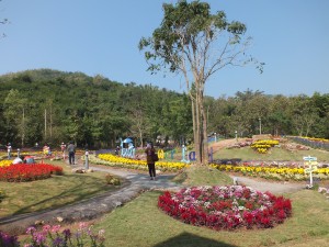 DSCF7576