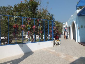 DSCF7612