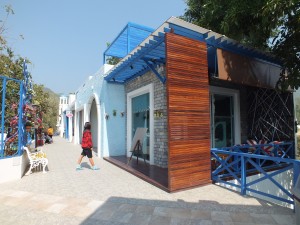 DSCF7613
