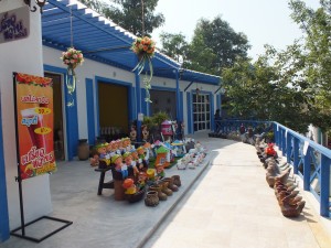 DSCF7617