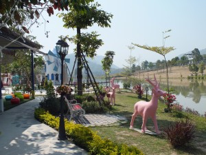 DSCF7656