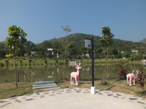 DSCF7660