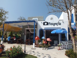 DSCF7677