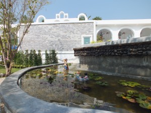DSCF7767