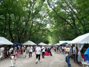 2014-08-13-11-49-56_photo