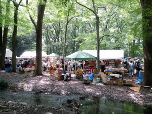 2014-08-13-12-08-51_photo