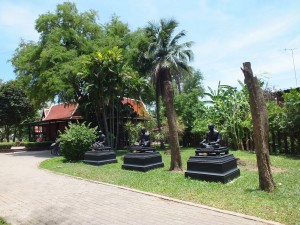 DSCF3113