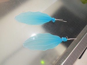 DSCF5593