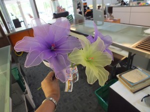 DSCF5606