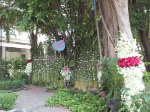 DSCF6103