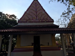 IMG_0736